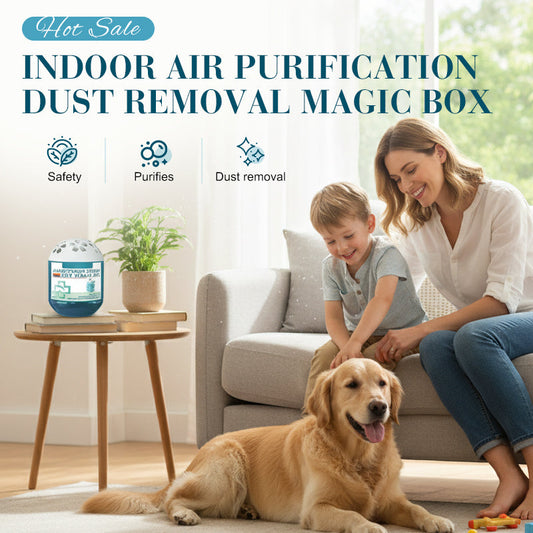 🔥2026 New Collection⏰Indoor Air Purification Dust Removal Magic Box🏠🌿